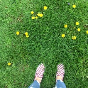 Meet your Posher, Bailey